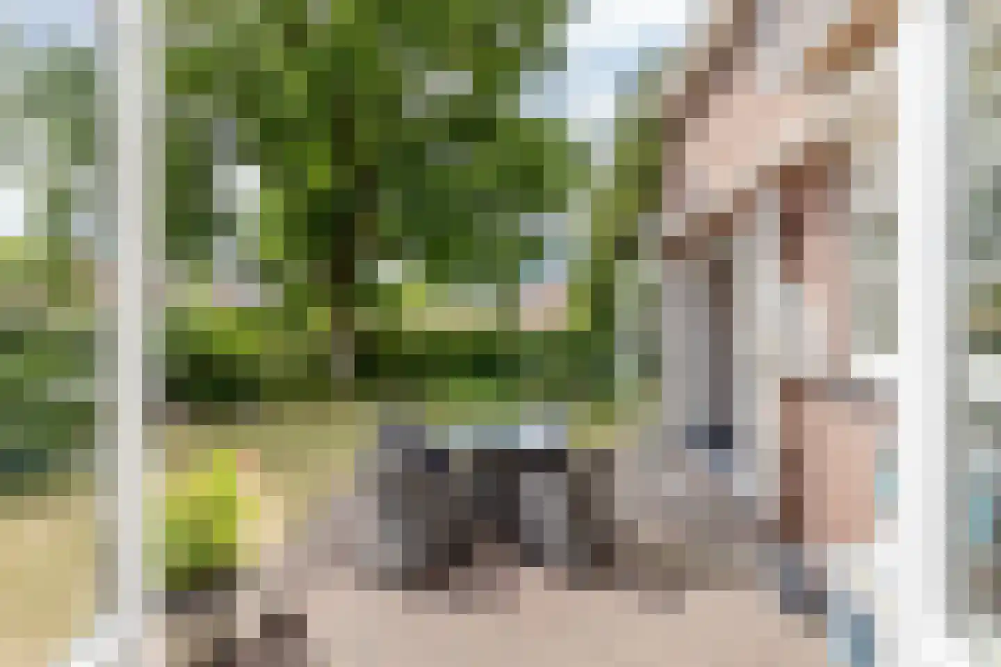 Rijsdijk 32 Rhoon thumbnail 37