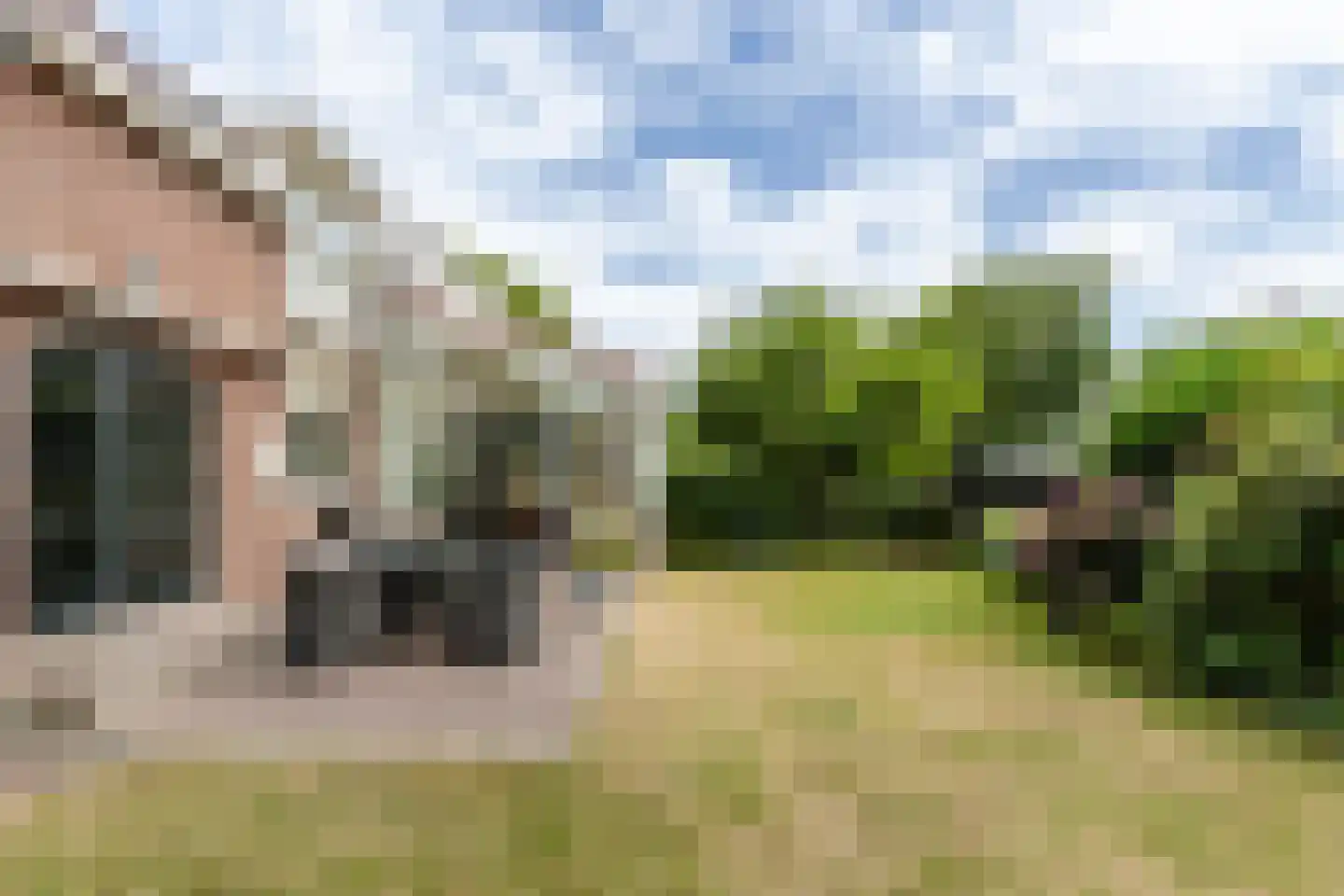 Rijsdijk 32 Rhoon thumbnail 38