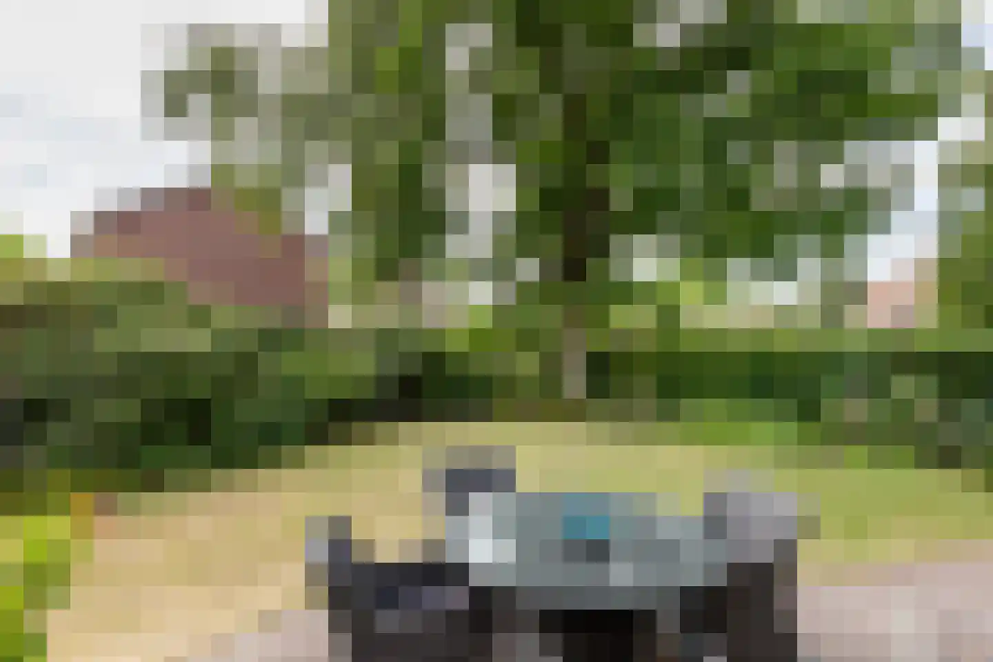 Rijsdijk 32 Rhoon thumbnail 39