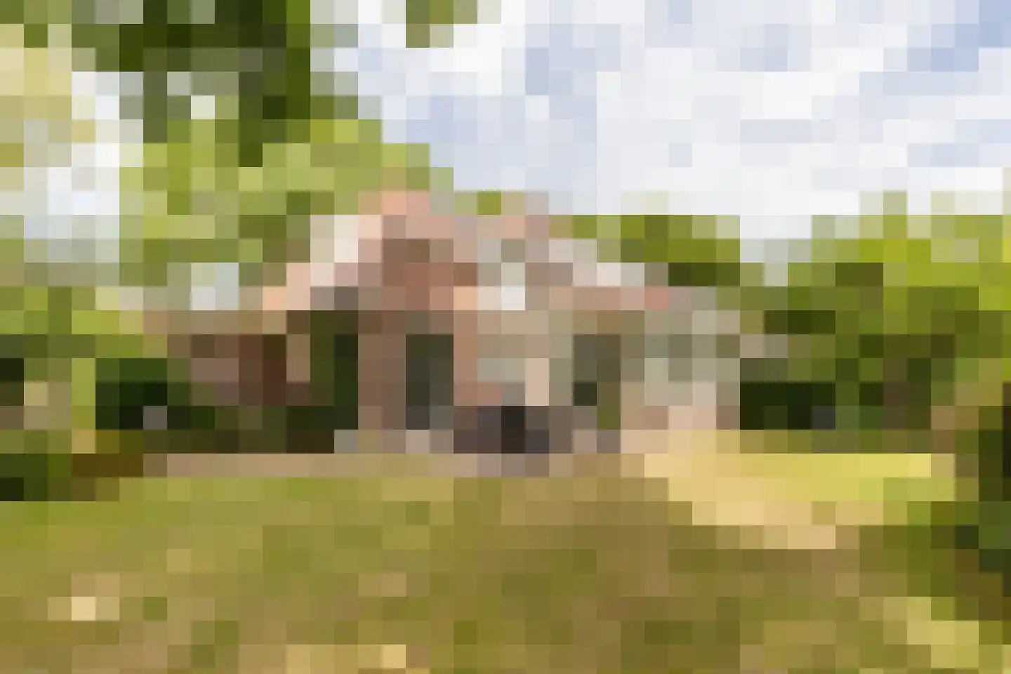 Rijsdijk 32 Rhoon thumbnail 4