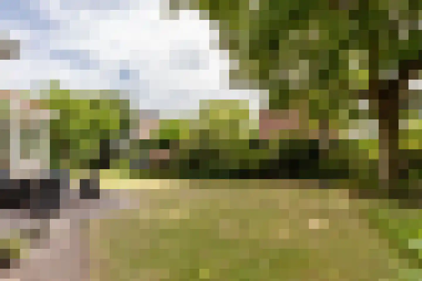 Rijsdijk 32 Rhoon thumbnail 40