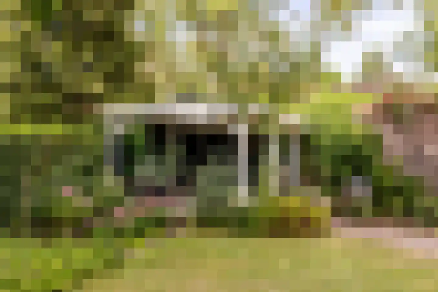 Rijsdijk 32 Rhoon thumbnail 42