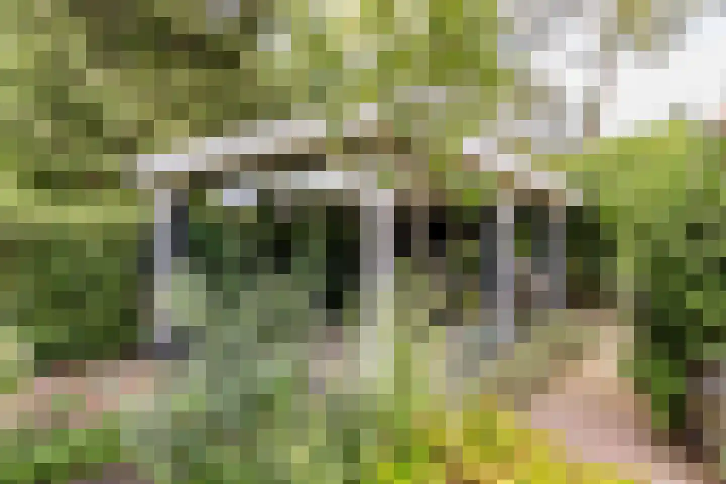 Rijsdijk 32 Rhoon thumbnail 43