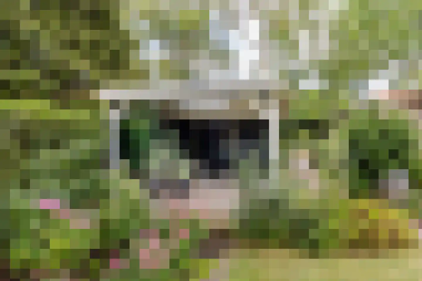 Rijsdijk 32 Rhoon thumbnail 45