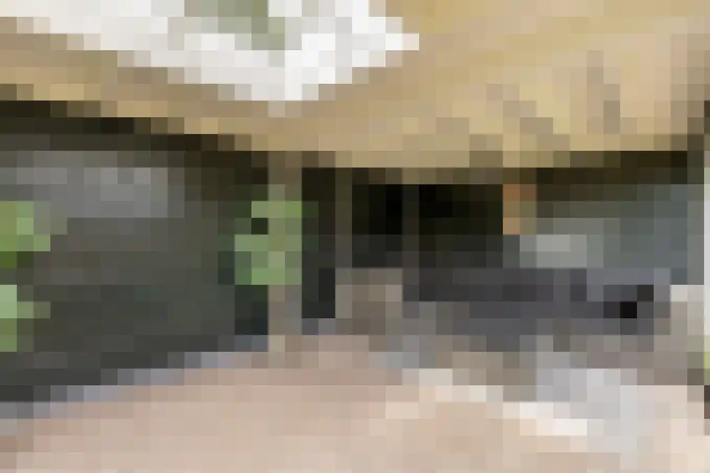 Rijsdijk 32 Rhoon thumbnail 46