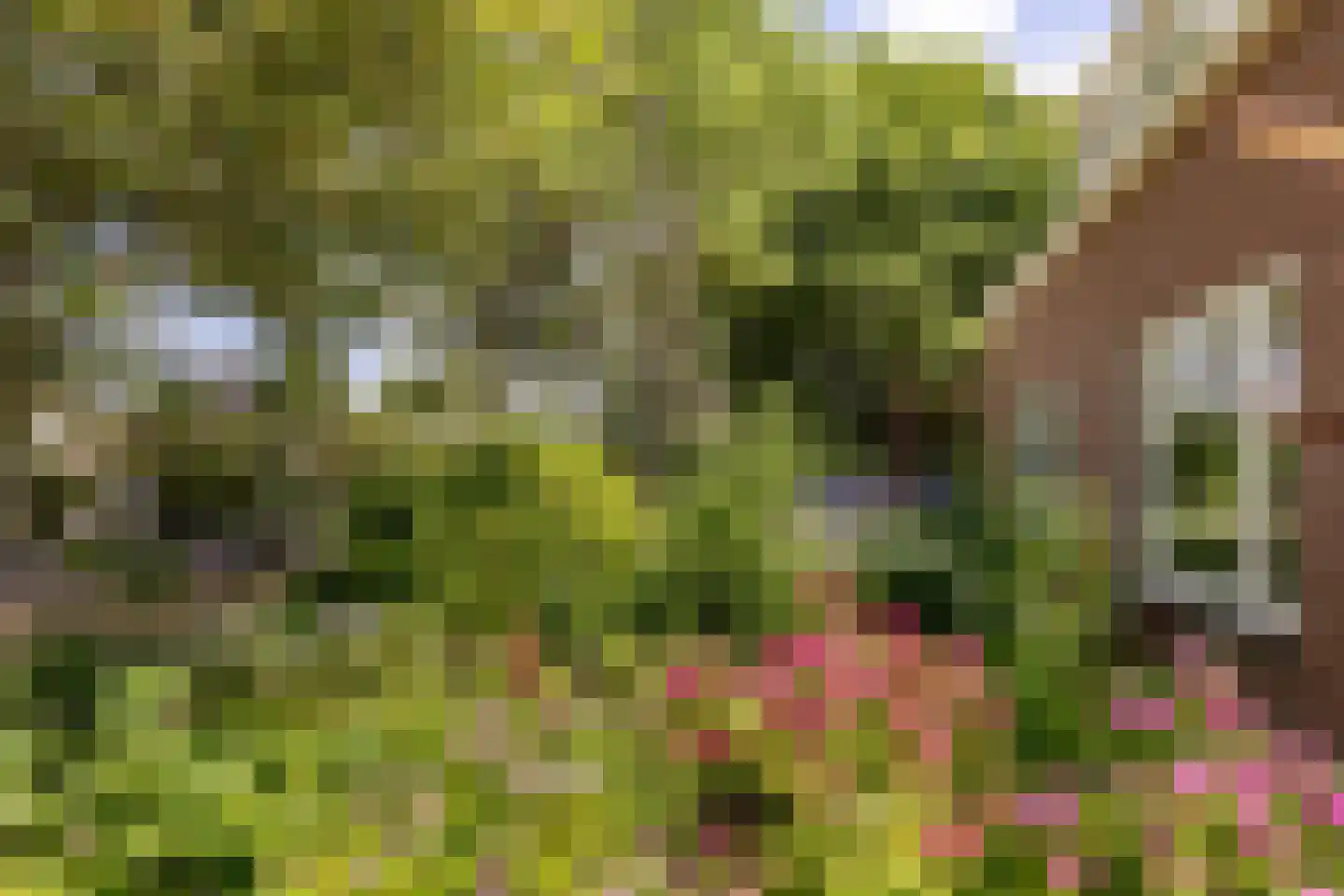 Rijsdijk 32 Rhoon thumbnail 48