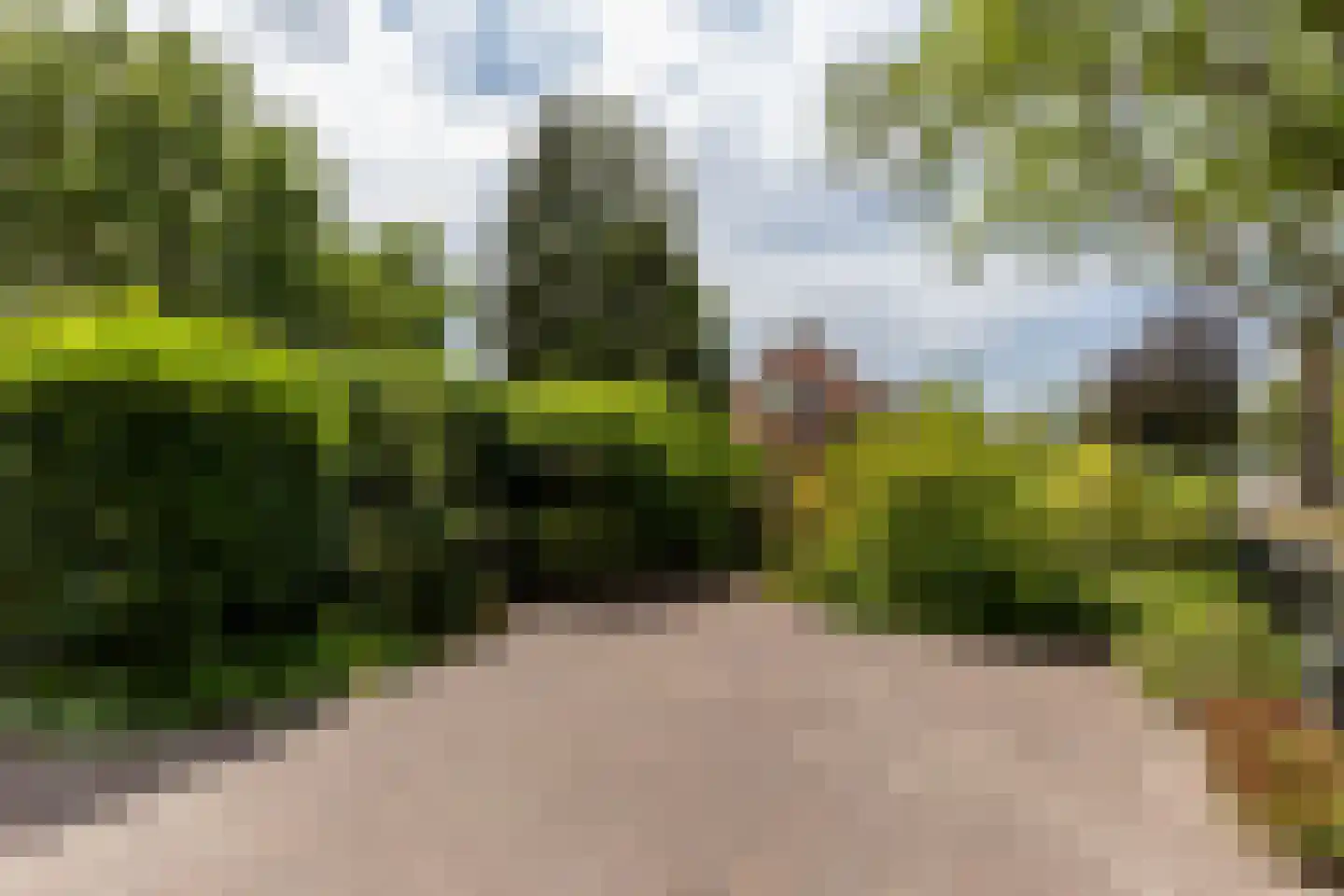 Rijsdijk 32 Rhoon thumbnail 49