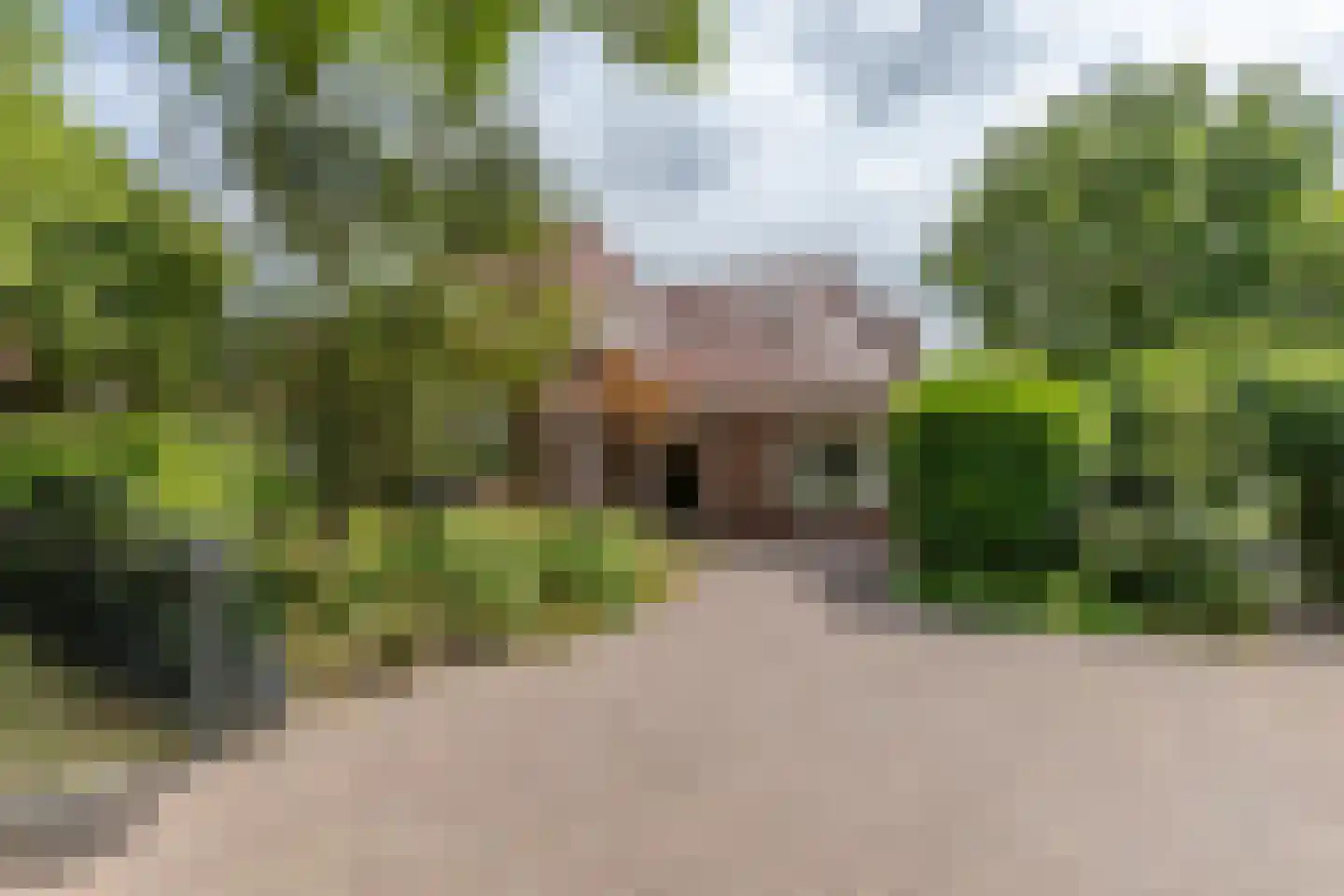 Rijsdijk 32 Rhoon thumbnail 5