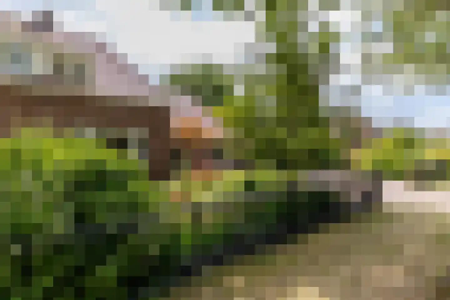 Rijsdijk 32 Rhoon thumbnail 6