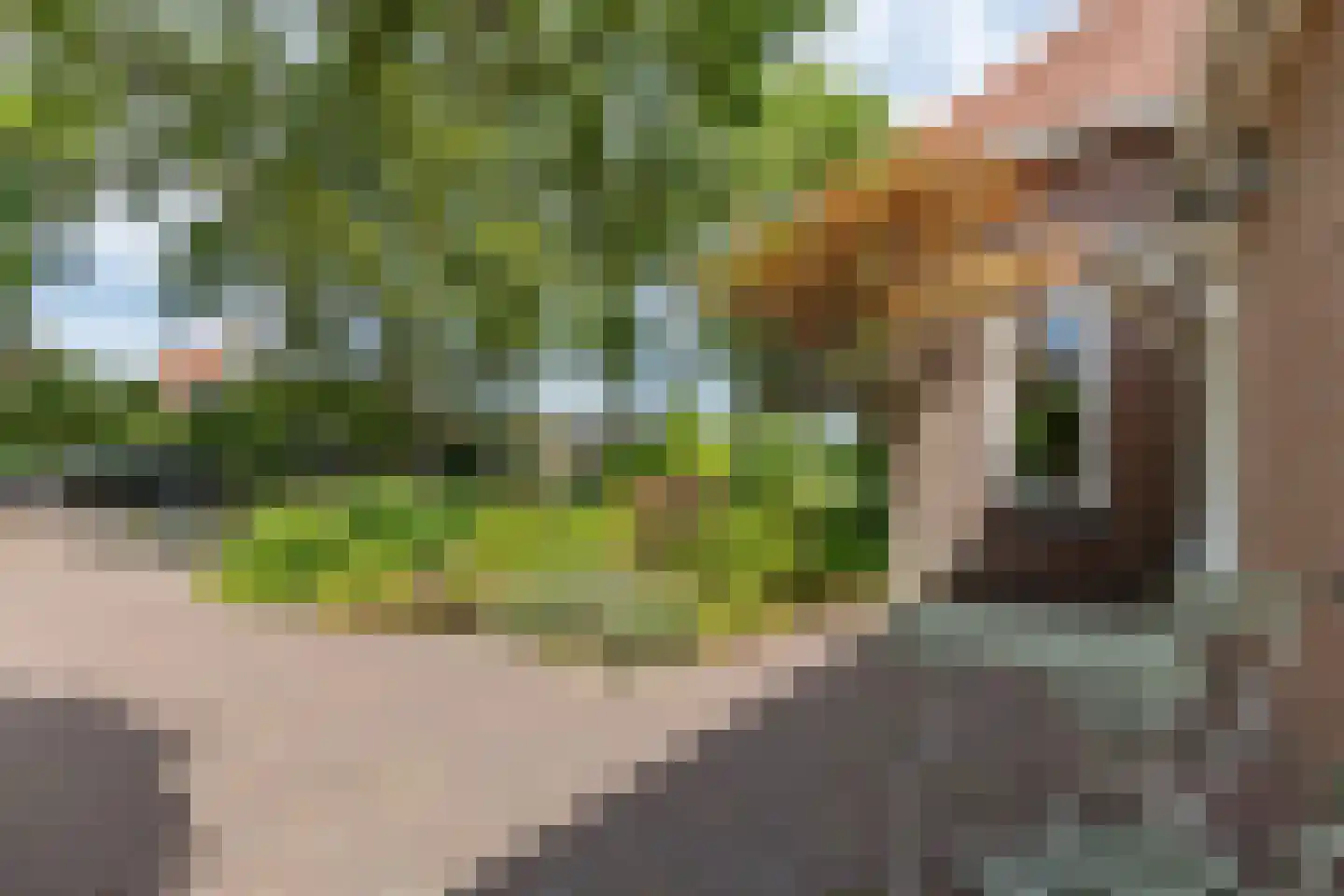 Rijsdijk 32 Rhoon thumbnail 7