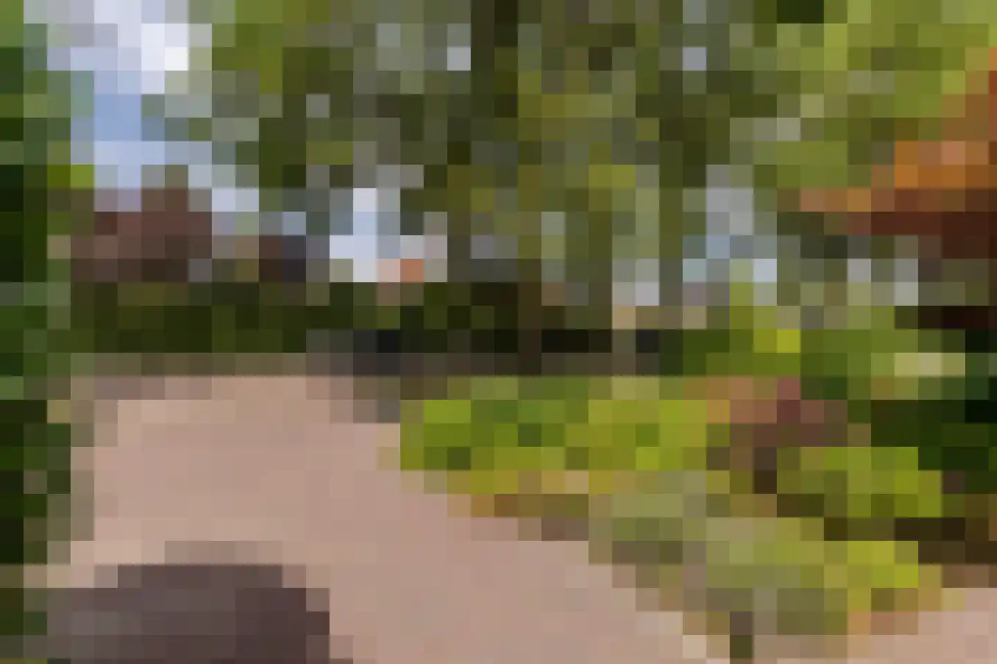 Rijsdijk 32 Rhoon thumbnail 8