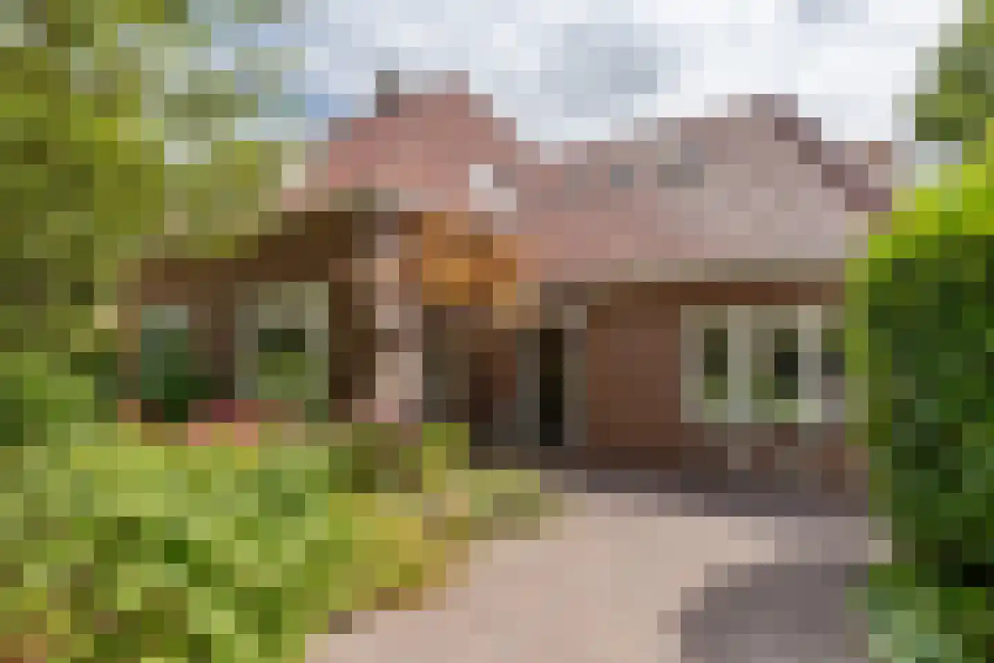 Rijsdijk 32 Rhoon thumbnail 9