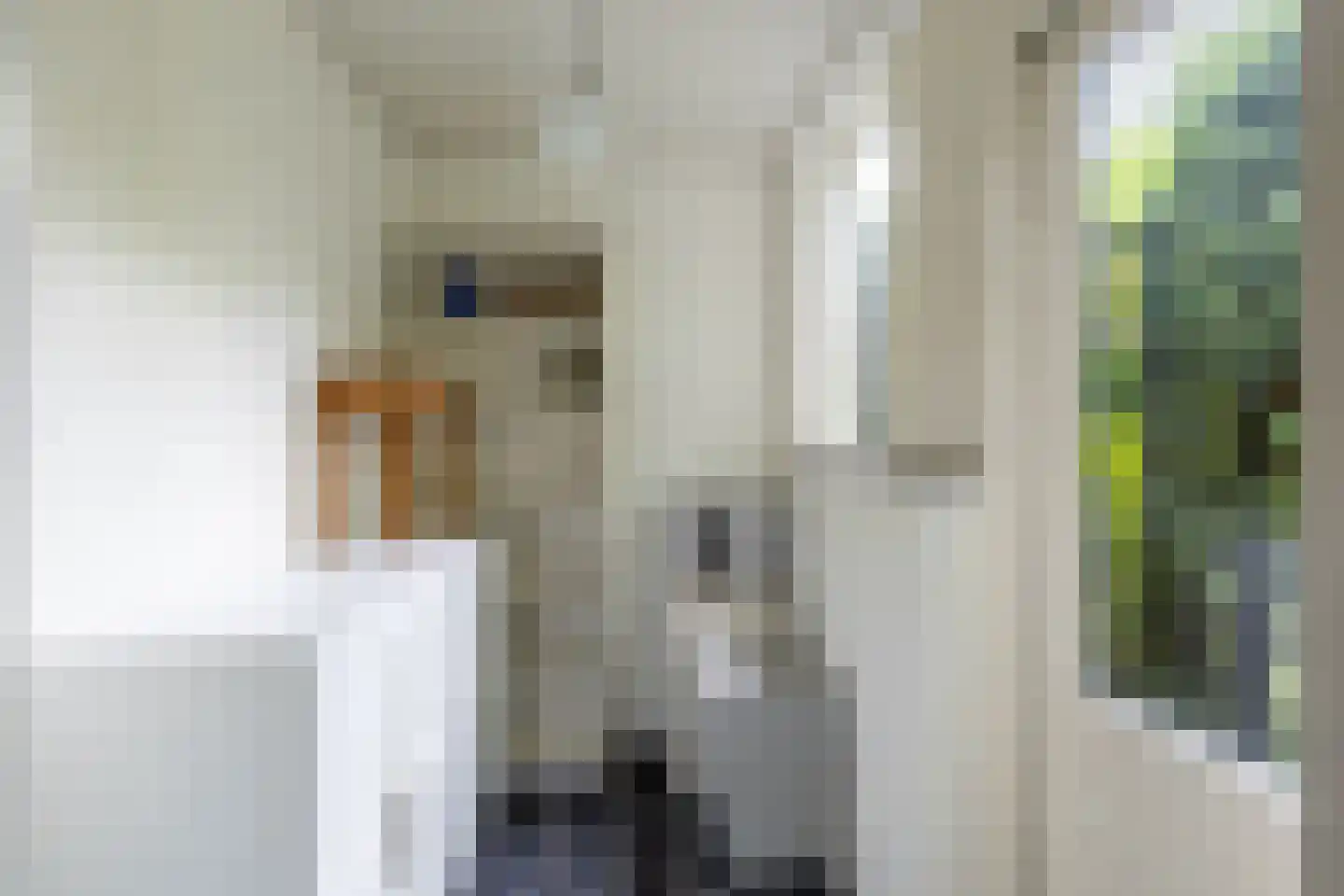 Rijsdijk 36 Rhoon thumbnail 25