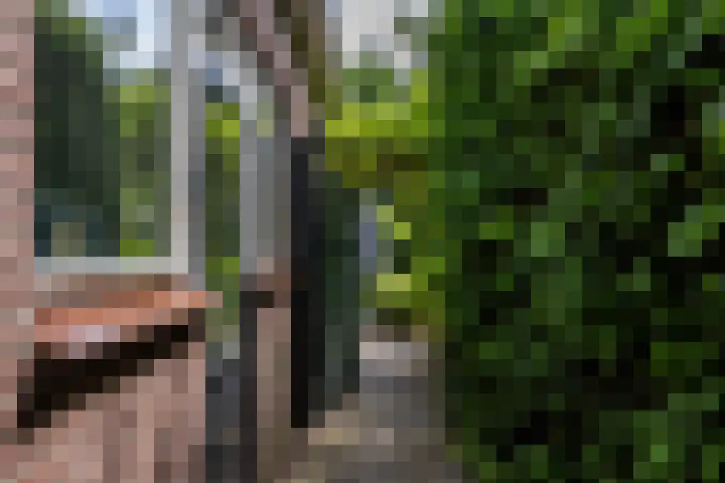 Rijsdijk 36 Rhoon thumbnail 37