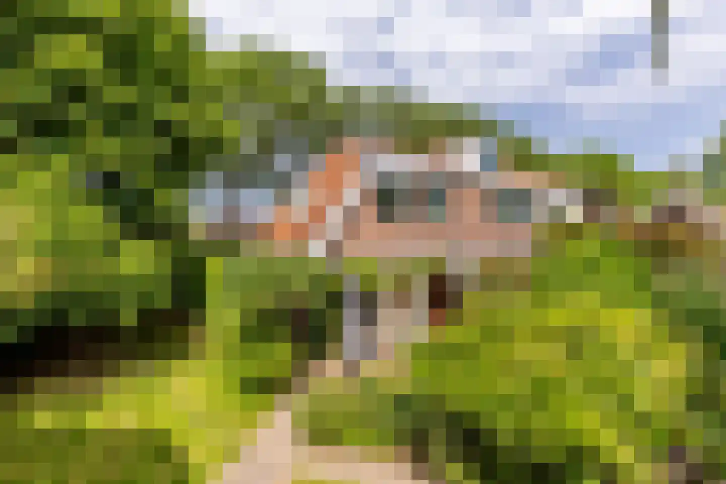 Rijsdijk 36 Rhoon thumbnail 38