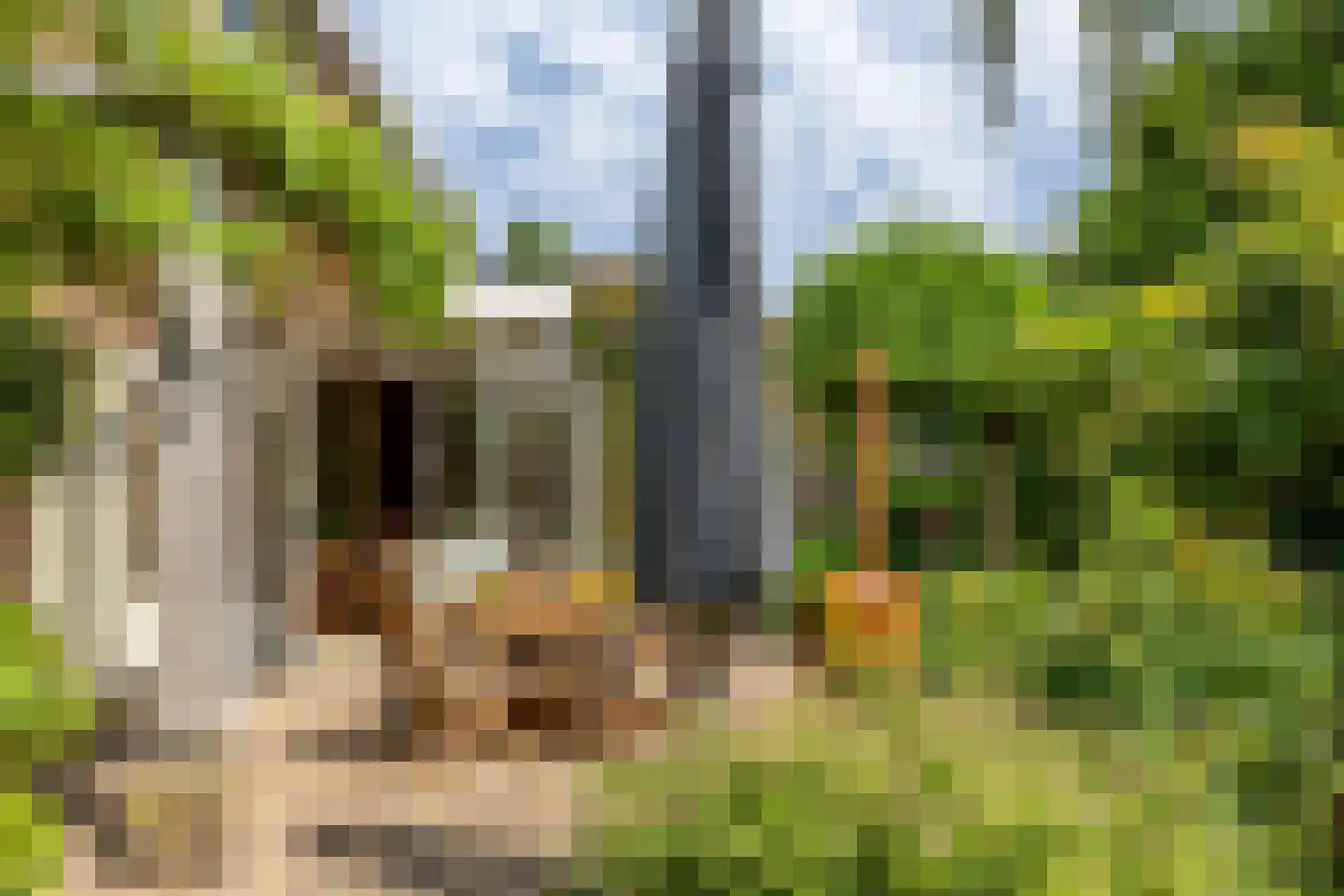 Rijsdijk 36 Rhoon thumbnail 40
