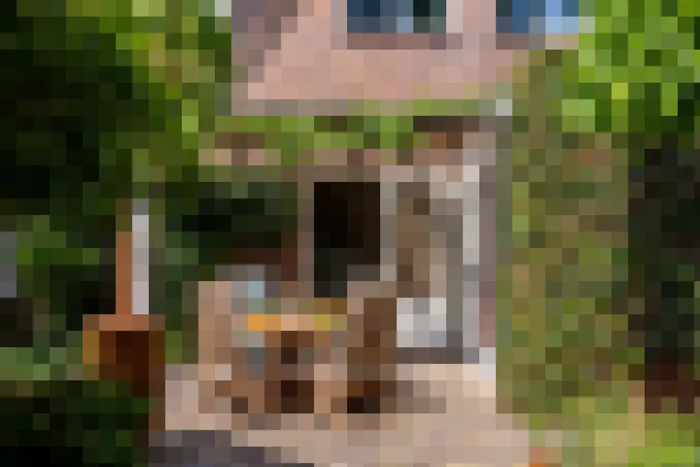 Rijsdijk 36 Rhoon thumbnail 41
