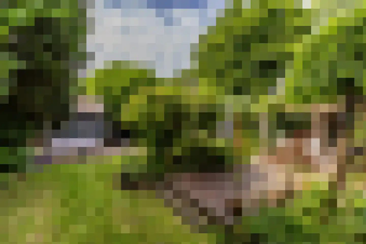 Rijsdijk 36 Rhoon thumbnail 46