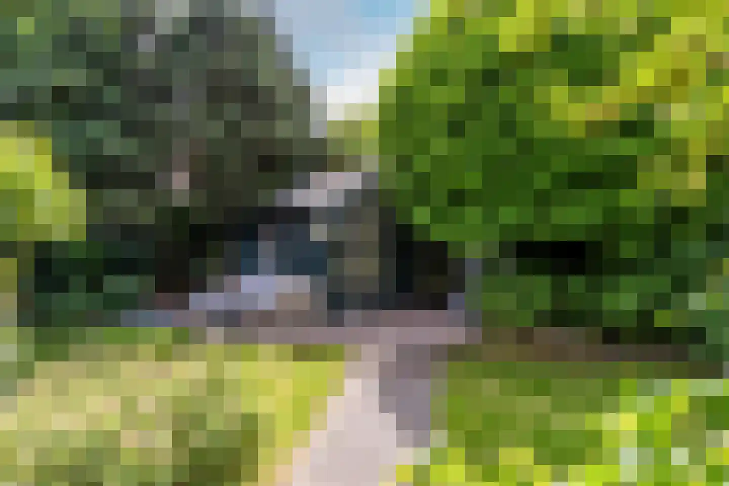 Rijsdijk 36 Rhoon thumbnail 47