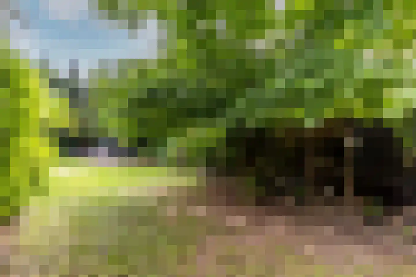Rijsdijk 36 Rhoon thumbnail 48
