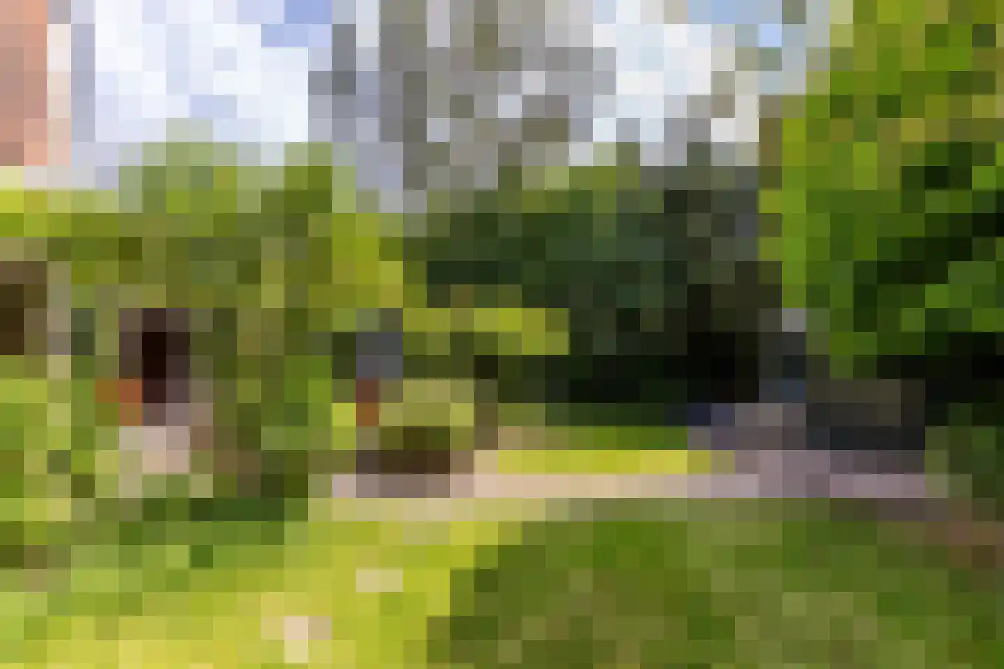 Rijsdijk 36 Rhoon thumbnail 49