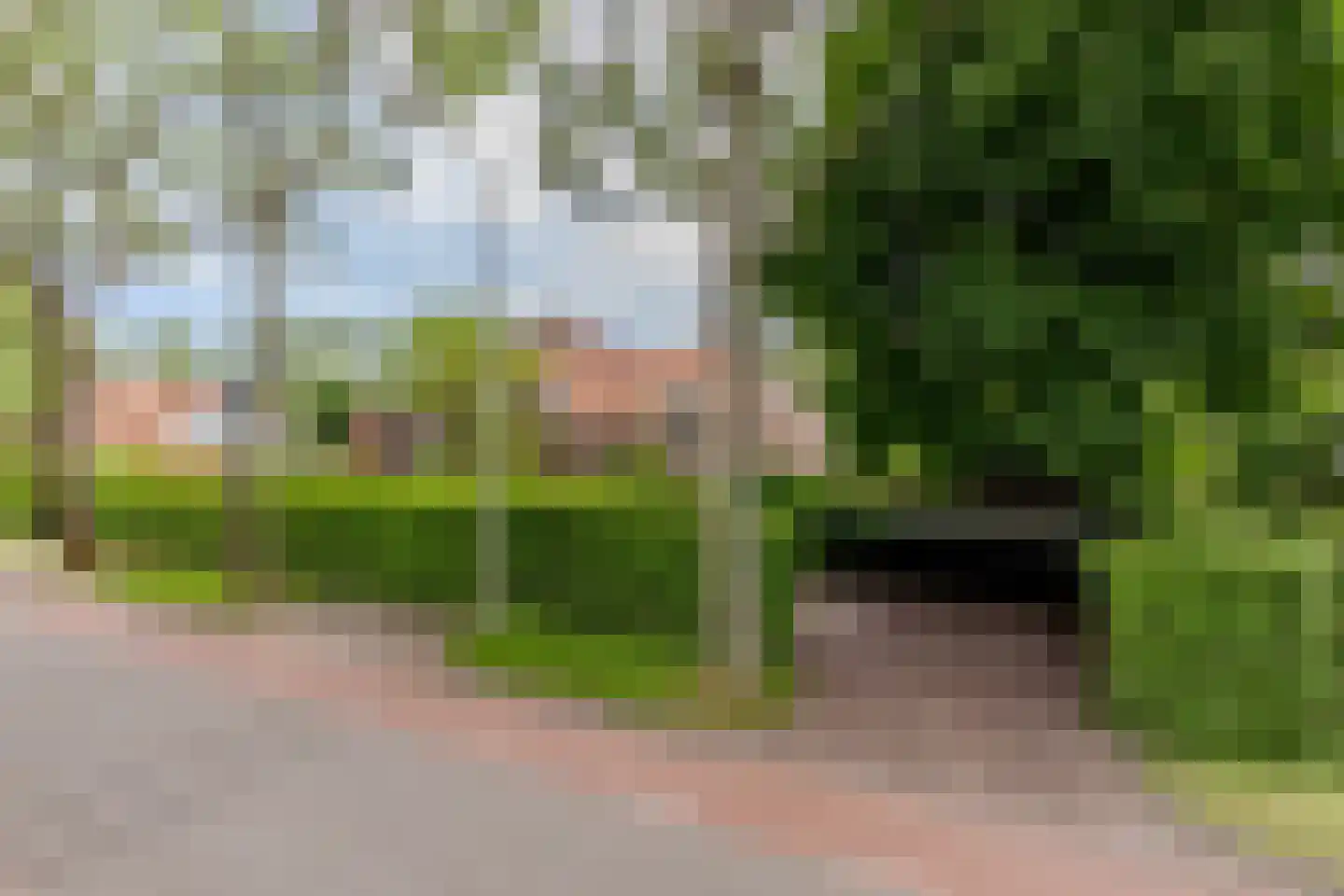 Rijsdijk 36 Rhoon thumbnail 5