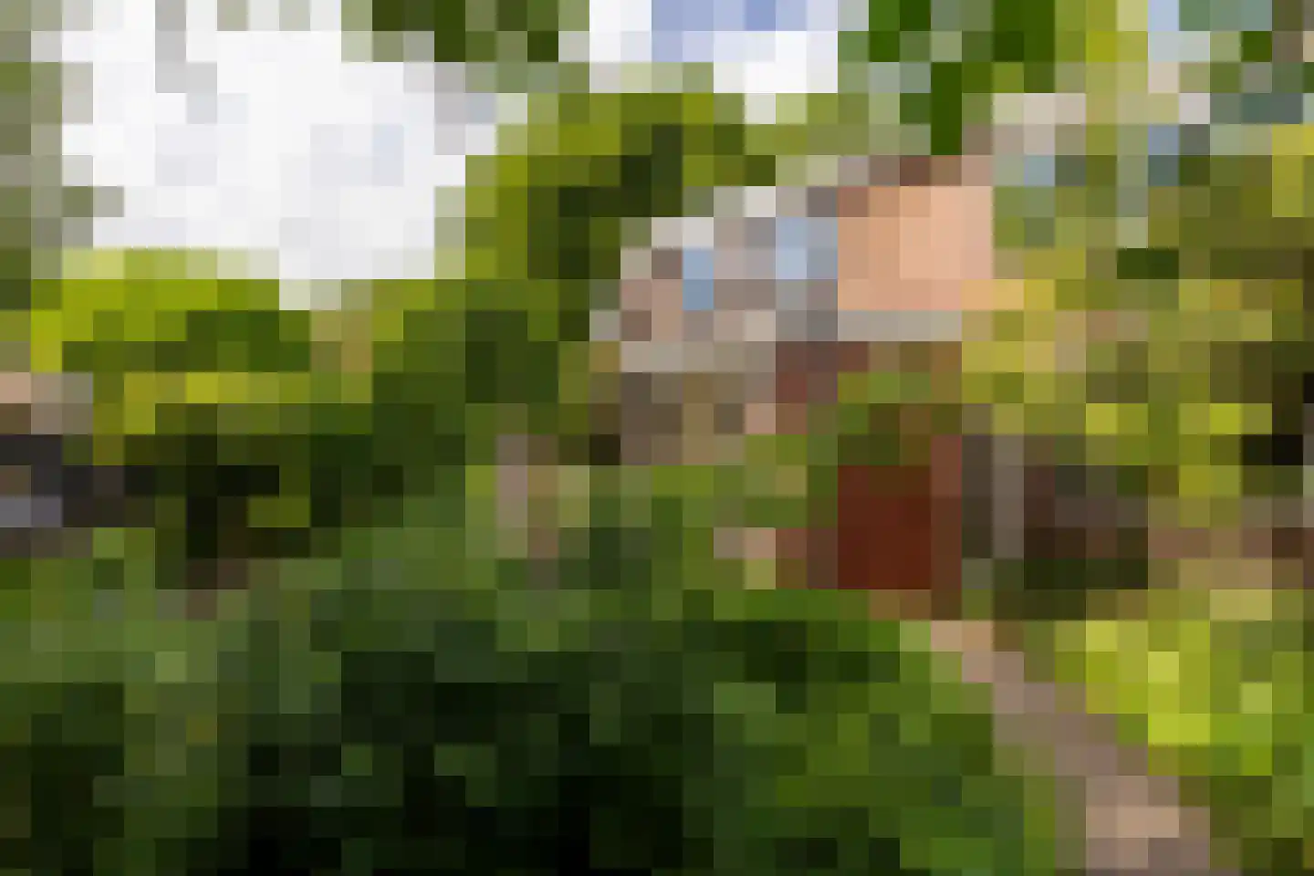 Rijsdijk 36 Rhoon thumbnail 50