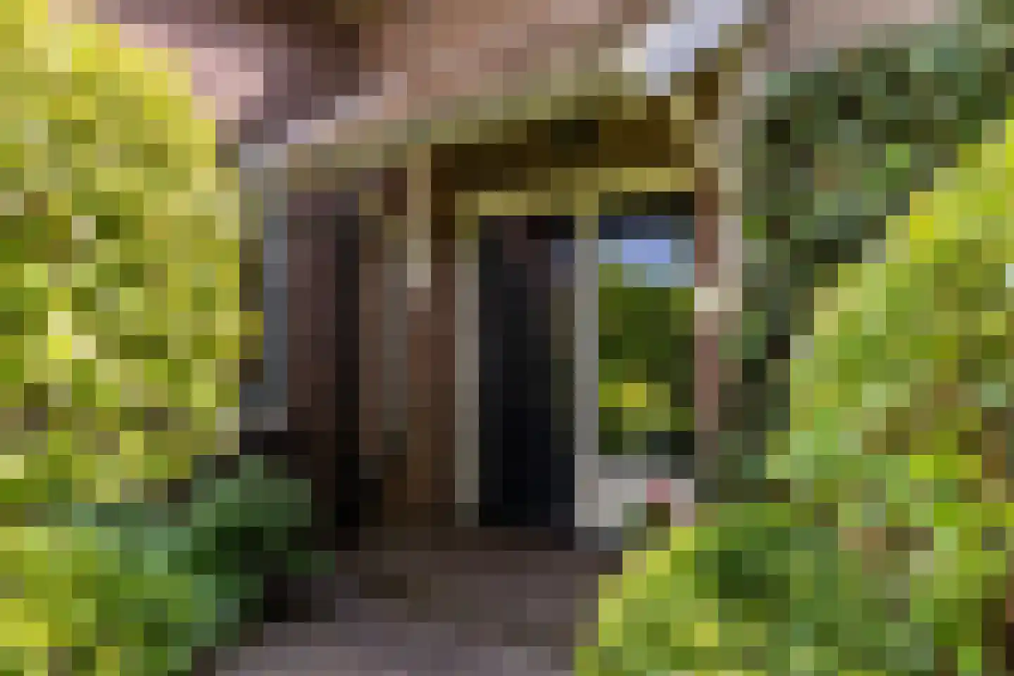 Rijsdijk 36 Rhoon thumbnail 7