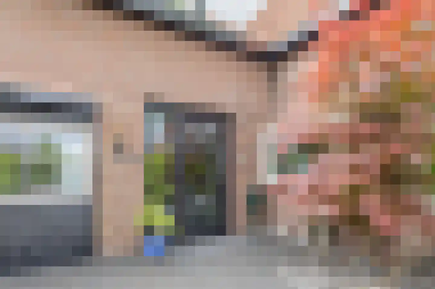 Rijsdijk 38 Rhoon thumbnail 12