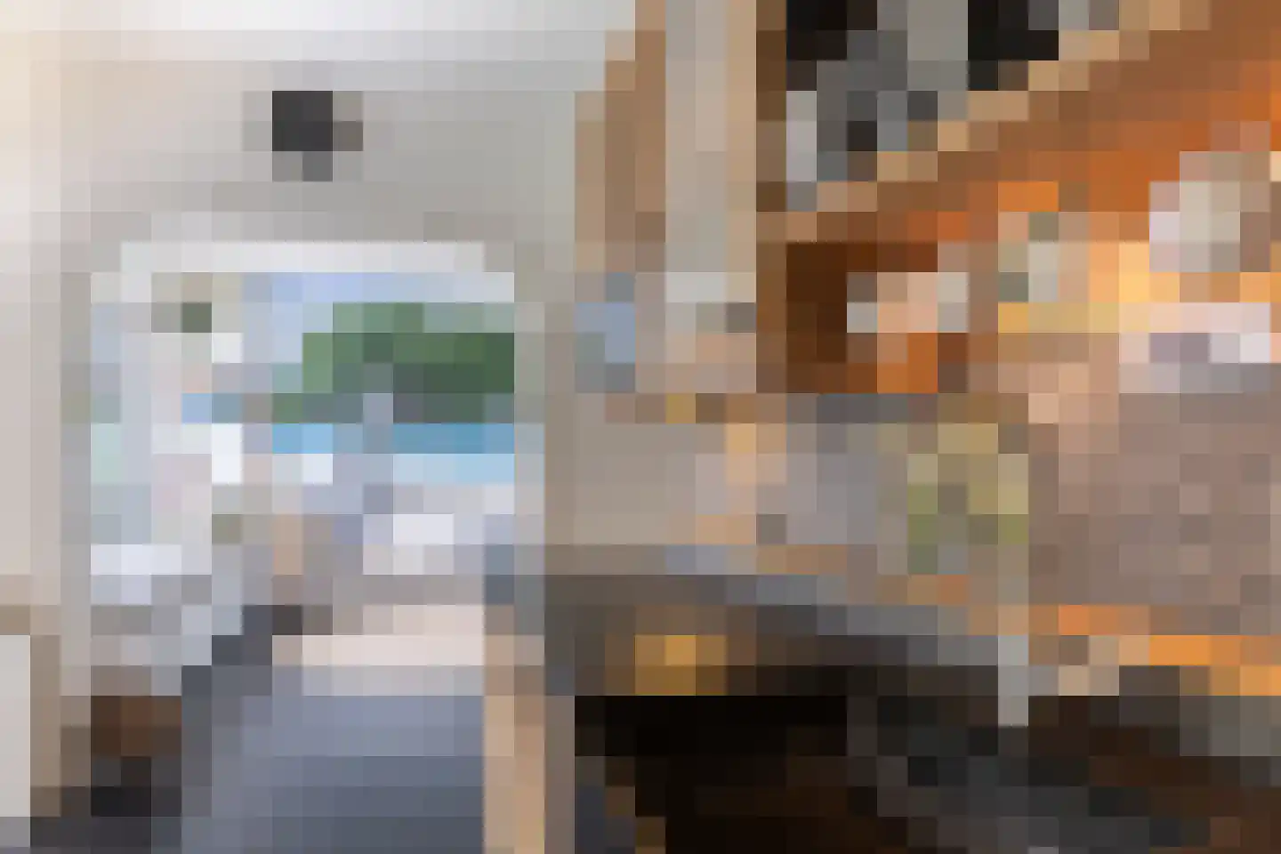 Rijsdijk 38 Rhoon thumbnail 22