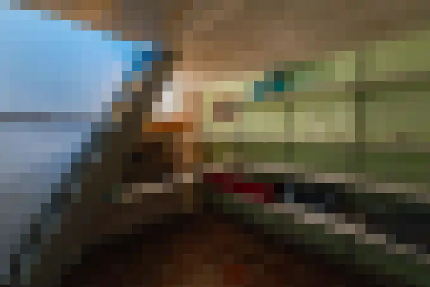 Rijsdijk 38 Rhoon thumbnail 26