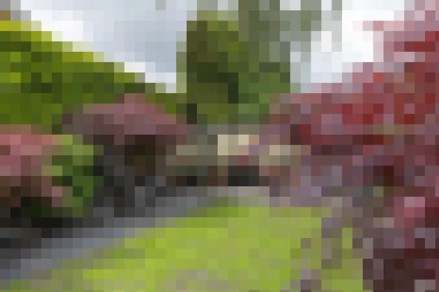 Rijsdijk 38 Rhoon thumbnail 33