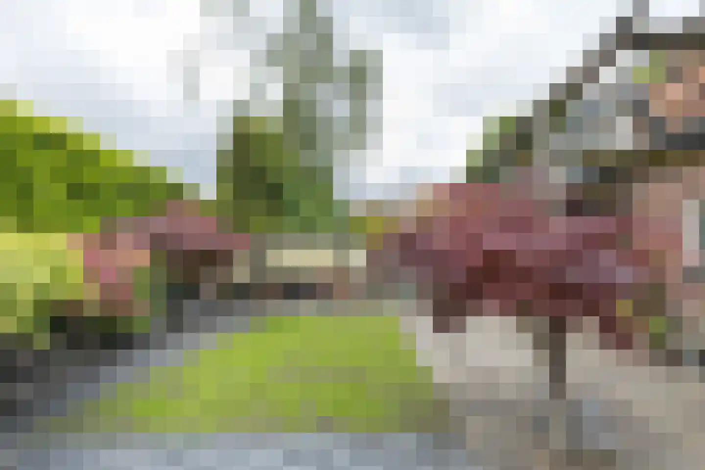 Rijsdijk 38 Rhoon thumbnail 34