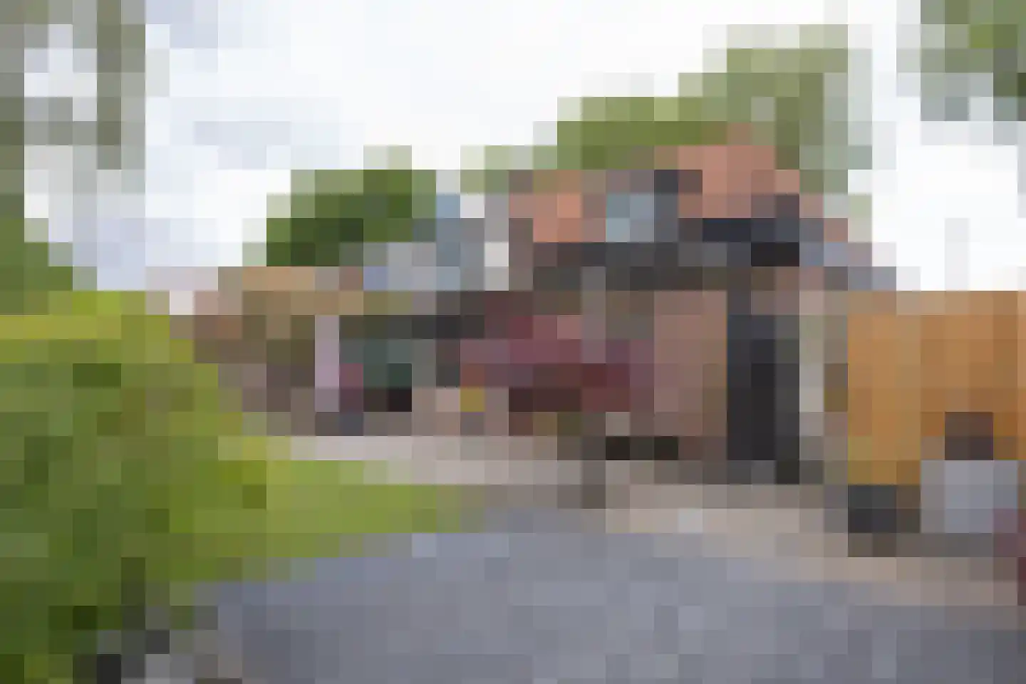 Rijsdijk 38 Rhoon thumbnail 36