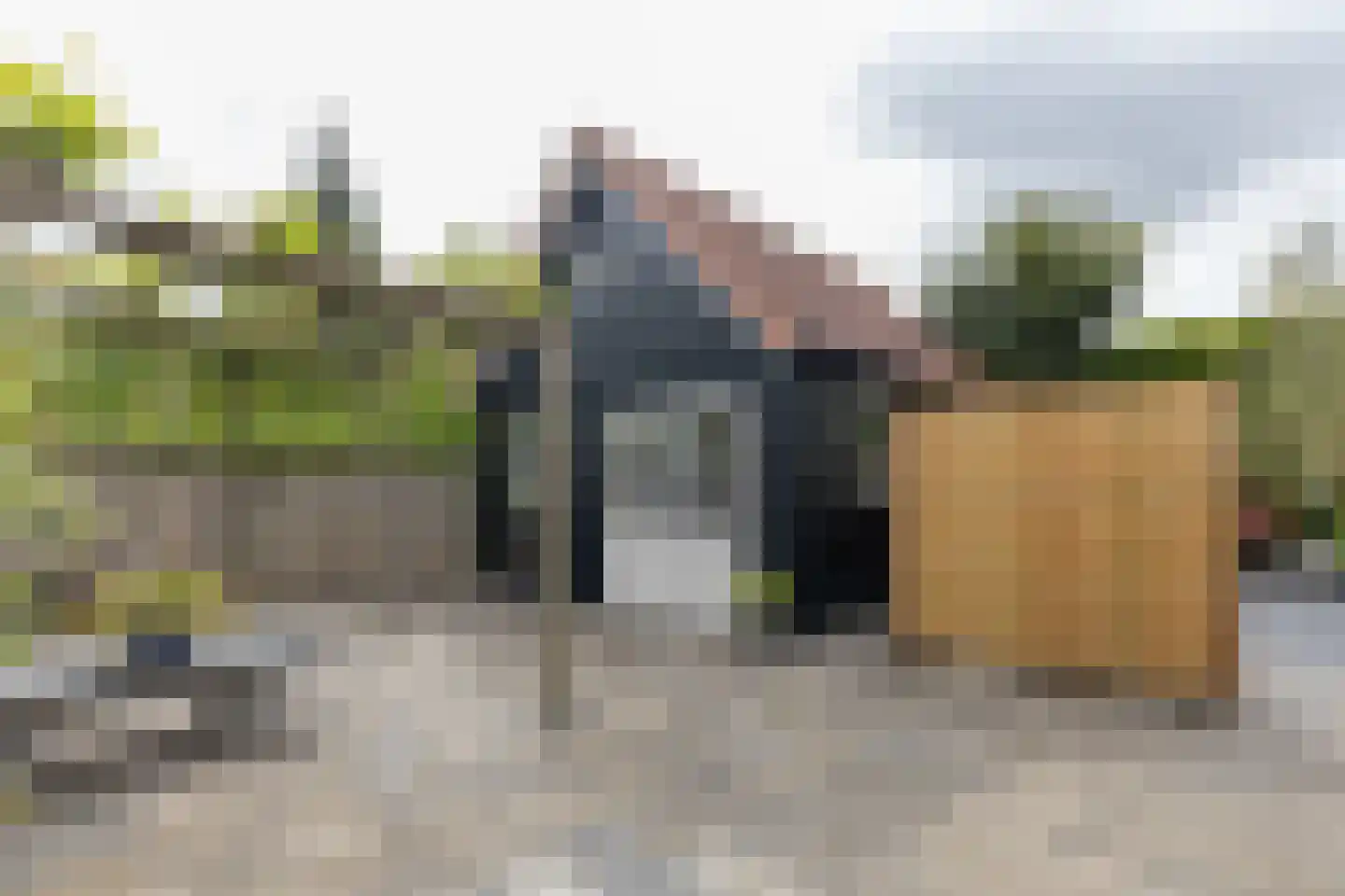 Rijsdijk 38 Rhoon thumbnail 4