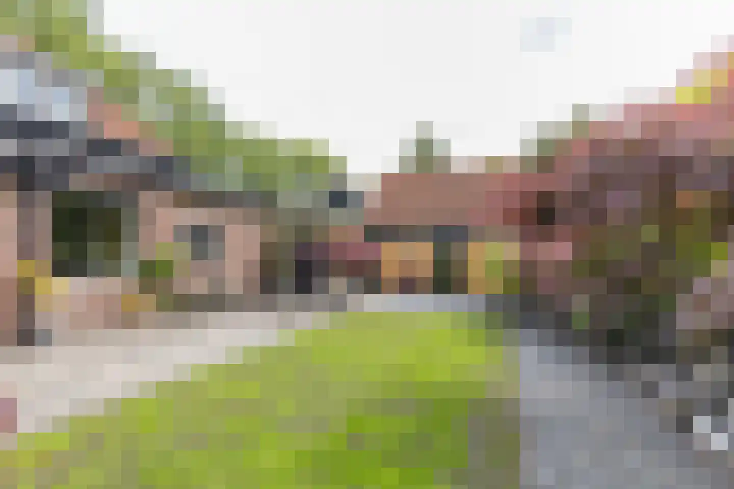 Rijsdijk 38 Rhoon thumbnail 5