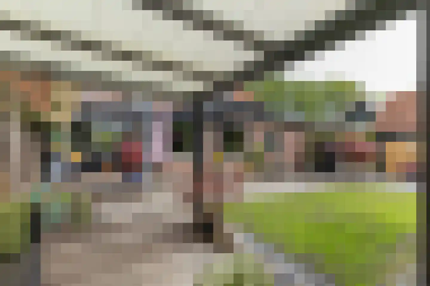 Rijsdijk 38 Rhoon thumbnail 60