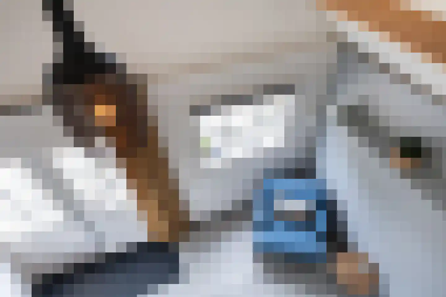 Rijsdijk 38 Rhoon thumbnail 69