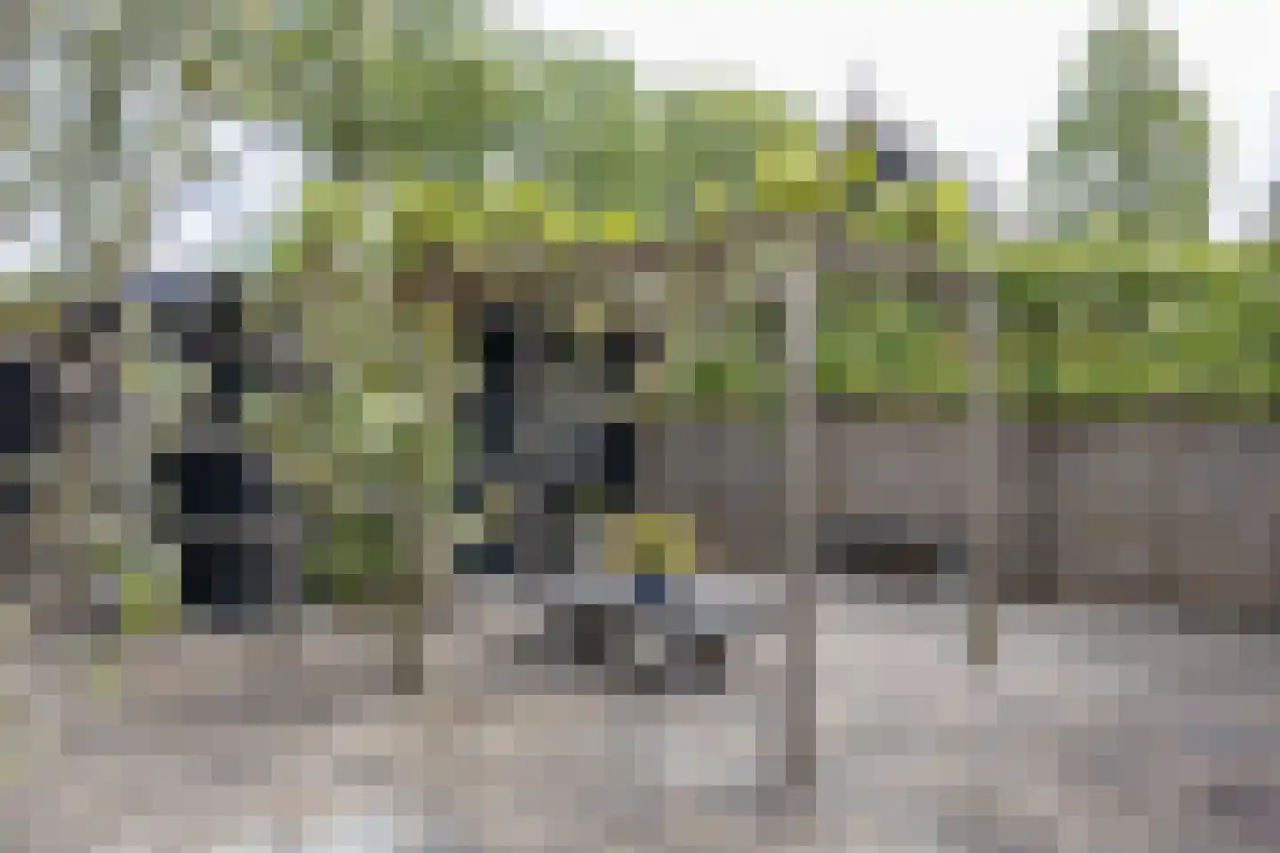 Rijsdijk 38 Rhoon thumbnail 71