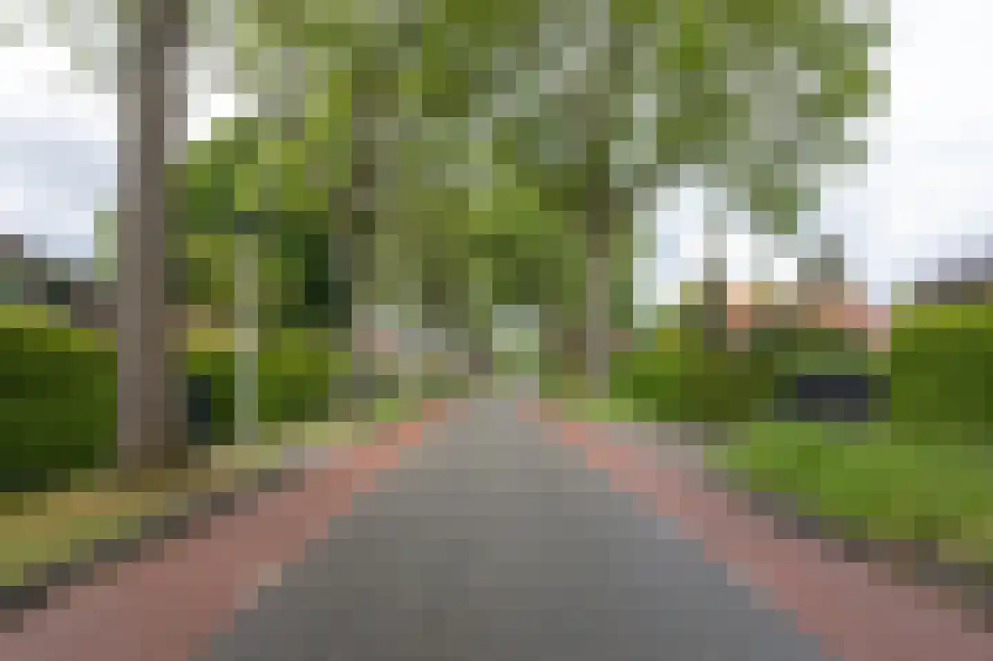 Rijsdijk 38 Rhoon thumbnail 76