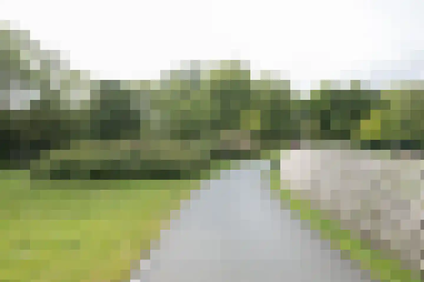 Rijsdijk 38 Rhoon thumbnail 77