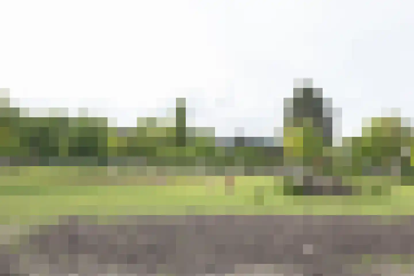 Rijsdijk 38 Rhoon thumbnail 78
