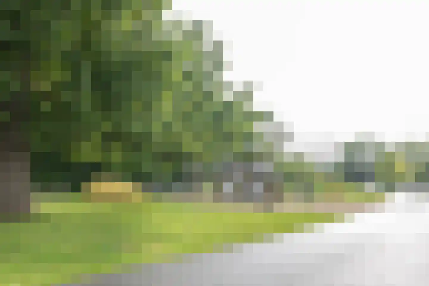 Rijsdijk 38 Rhoon thumbnail 79