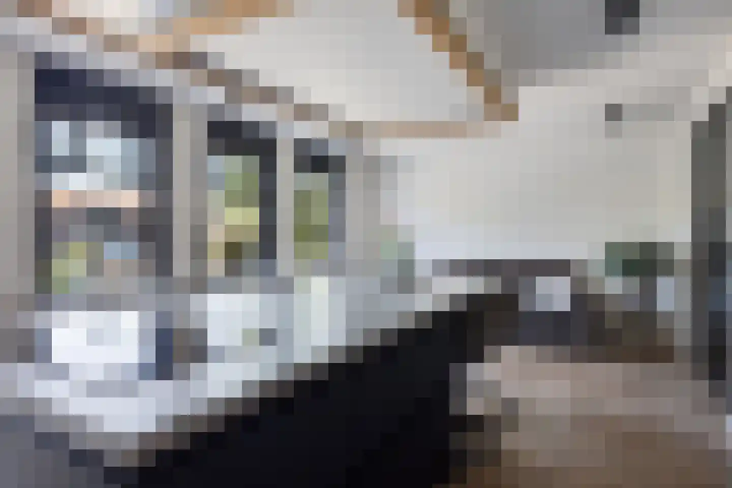 Rijsdijk 59 Krimpen aan de Lek thumbnail 30