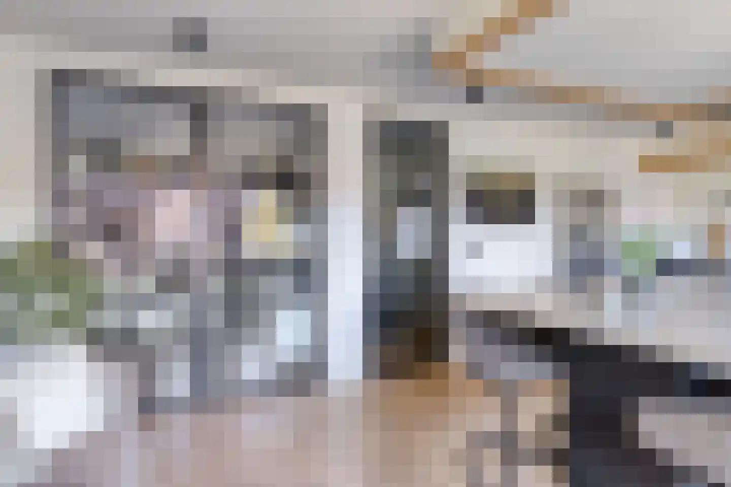 Rijsdijk 59 Krimpen aan de Lek thumbnail 32