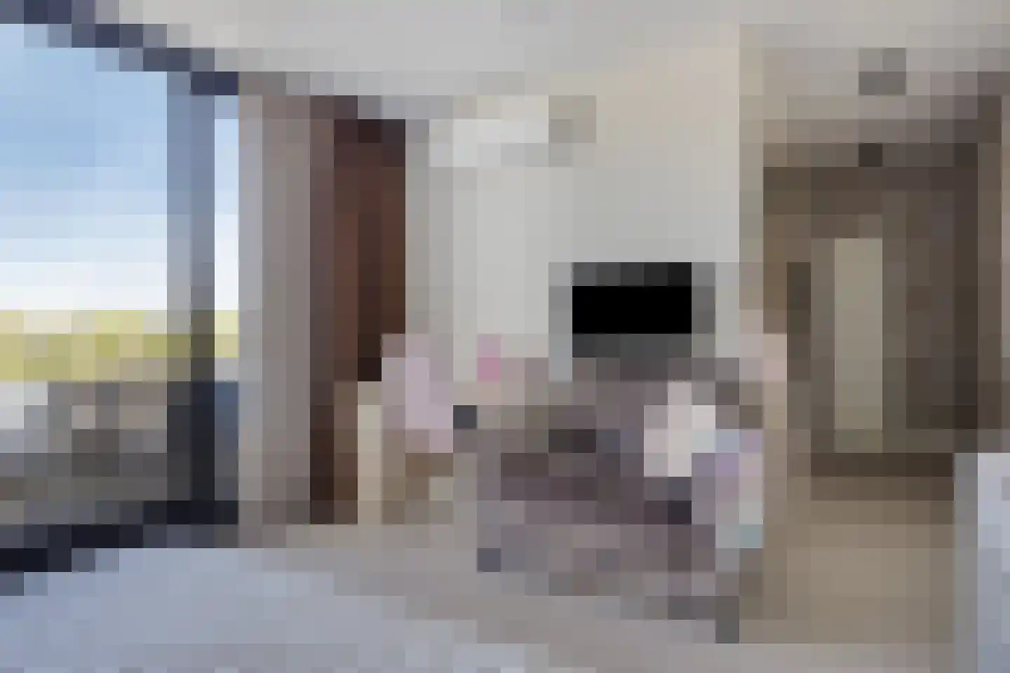 Rijsdijk 59 Krimpen aan de Lek thumbnail 37