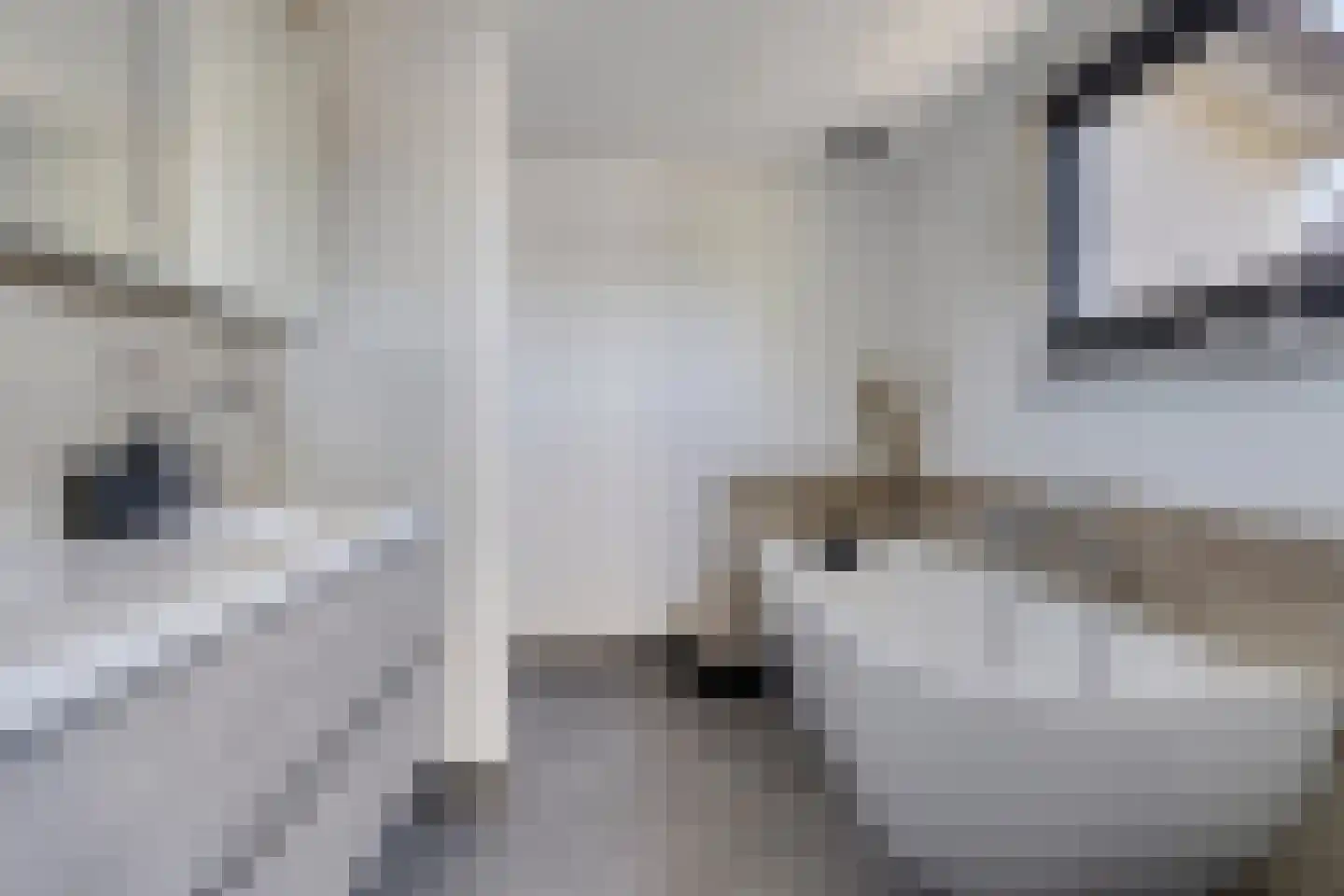 Rijsdijk 59 Krimpen aan de Lek thumbnail 4
