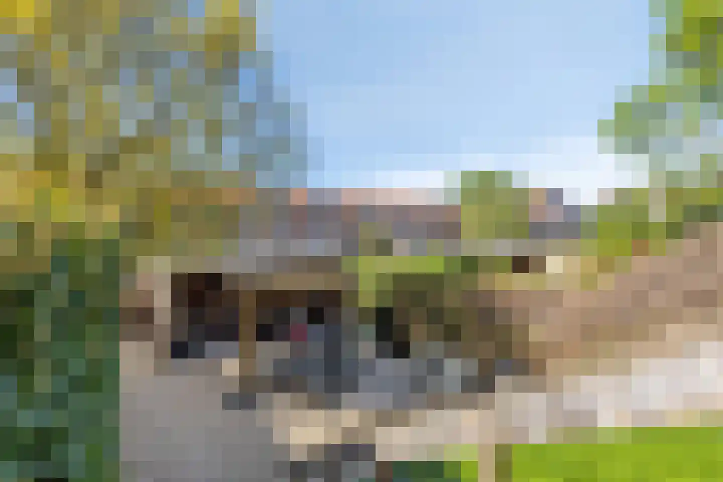 Rijsdijk 59 Krimpen aan de Lek thumbnail 46