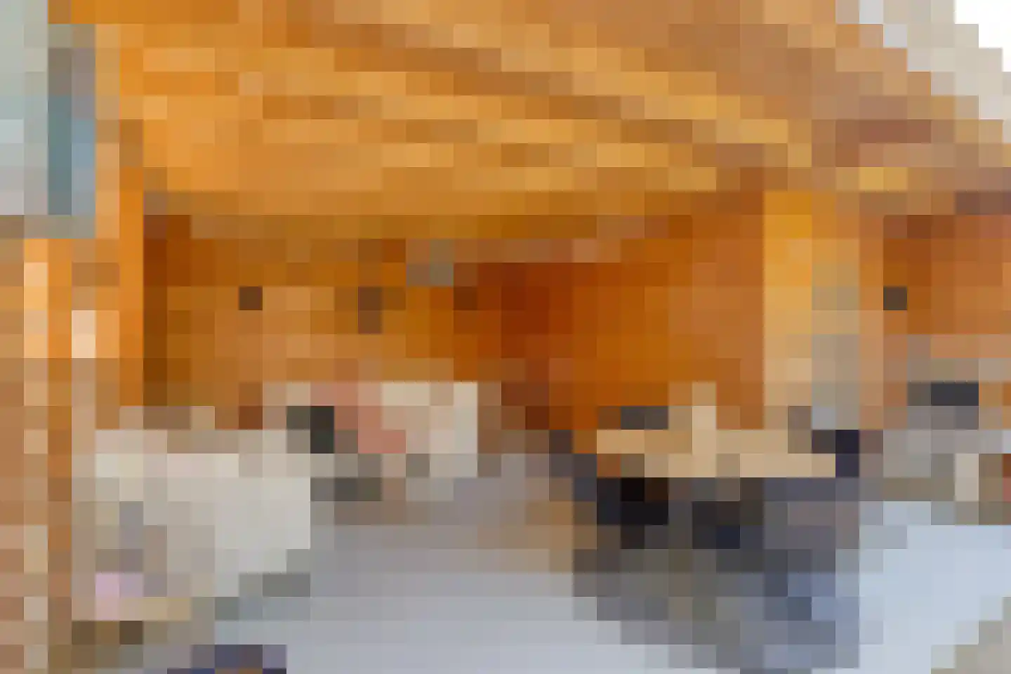 Rijsdijk 59 Krimpen aan de Lek thumbnail 48