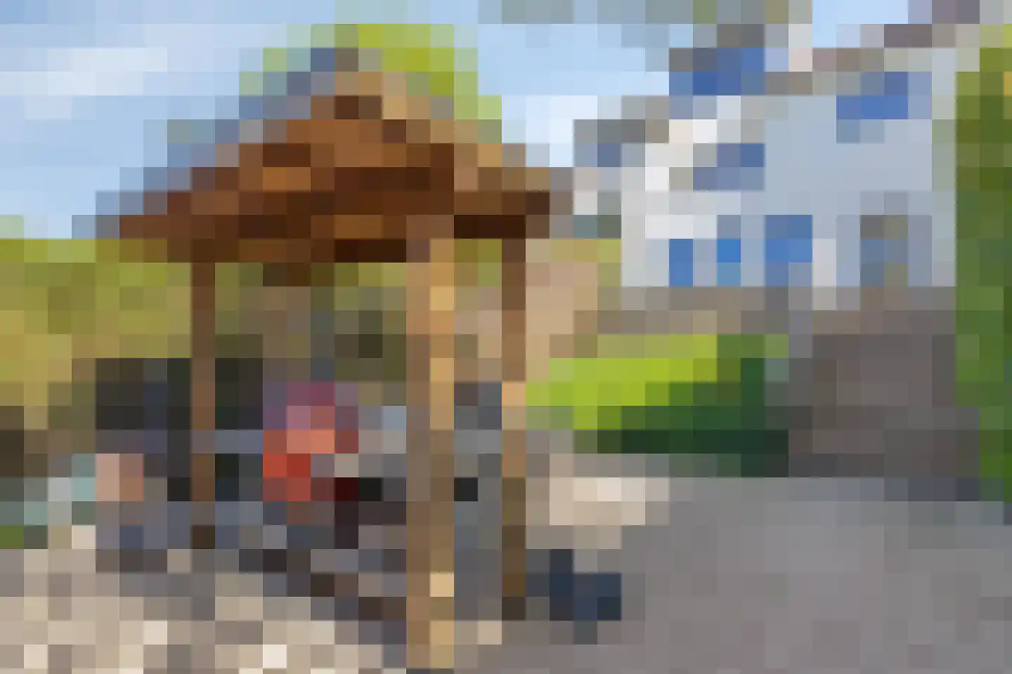 Rijsdijk 59 Krimpen aan de Lek thumbnail 49